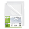 25 CARTELLINE A L 21X29