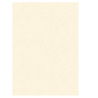 BLISTER 10 DIPLOMI PERGAMENA 297x420mm 160gr neutro avorio KARTOS