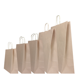 25 SHOPPERS CARTA BIOKRAFT 26X11X34